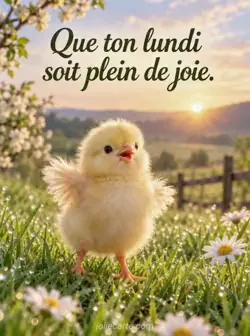 Petit poussin gonflant son duvet dans l'herbe couverte de gouttes de rosée au soleil levant. Texte : « Que ton lundi soit plein de joie. ».