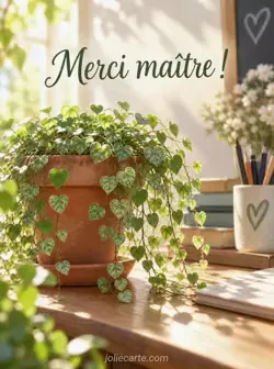 Plante retombante aux nombreuses petites feuilles en forme de cœur dans un pot en terre cuite, sur un bureau en bois ensoleillé. Texte : « Merci maître ! »
