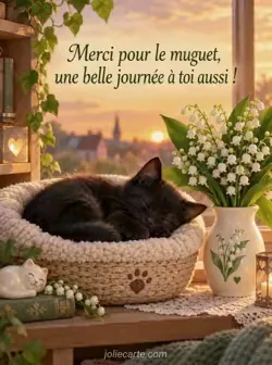 Petit chaton noir endormi dans un panier rond sur une étagère, près d'un vase de muguet baigné de lumière dorée du soir. Texte : « Merci pour le muguet, une belle journée à toi aussi ! »
