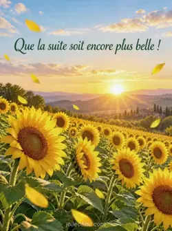 Un champ de tournesols lumineux tournés vers un soleil levant doré, avec quelques pétales dans la brise matinale. Texte : « Que la suite soit encore plus belle ! »