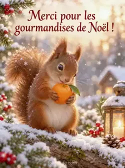 Un écureuil roux assis sur un tronc enneigé tient une clémentine contre sa poitrine et la regarde avec plaisir, dans une lumière dorée. Texte : « Merci pour les gourmandises de Noël ! »