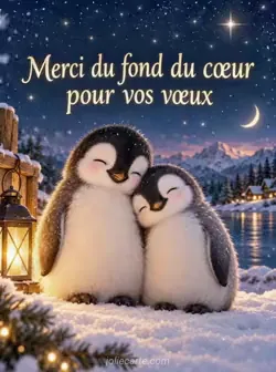 Deux manchots blottis l’un contre l’autre sous un ciel étoilé et des flocons, dans une lueur chaleureuse. L’un pose sa tête sur l’épaule de l’autre. Texte : « Merci du fond du cœur pour vos vœux »