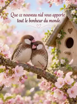 Deux oiseaux sur une branche de cerisier fleurie devant un nichoir en bois ; l'un se blottit contre l'autre en tenant une brindille. Des pétales roses flottent. Texte : « Que ce nouveau nid vous apporte tout le bonheur du monde. »