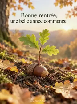 Une jeune pousse de chêne sort d'un gland dans la terre, entourée de feuilles dorées sous la lumière du matin. Texte : « Bonne rentrée, une belle année commence. ».