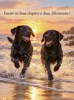 Deux labradors noirs courent côte à côte sur une plage au coucher du soleil, éclaboussant l'eau peu profonde sous une lumière dorée. Texte : « Encore un beau chapitre à deux, félicitations ! »