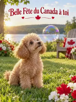 Un petit caniche duveteux assis sur une pelouse ensoleillée fixe une grande bulle de savon irisée devant son museau. Texte : « Belle Fête du Canada à toi »