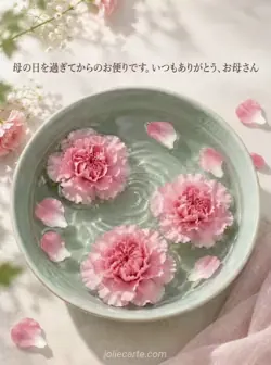 青磁の浅い器の水に浮かぶピンクのカーネーションと花びらを真上から見た風景。