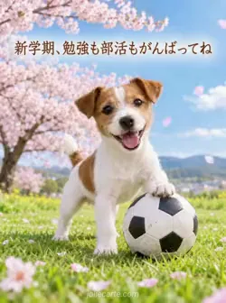 満開の桜と青空を背景に、芝生でサッカーボールに前足をのせる茶白のジャックラッセルテリアの子犬。