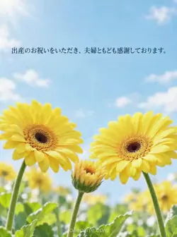 淡い青を背景に、大きな二輪の間で小さな黄色いガーベラが咲く姿と、夫婦からのお礼。