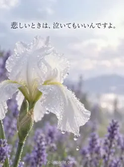 淡い紫の庭を背景に、白いアイリスの花びらから雨が落ちる姿と「悲しいときは、泣いてもいいんですよ。」の文字。