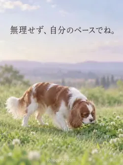 淡い緑の草地でキャバリアがゆっくり歩き、クローバーに鼻を近づけています。