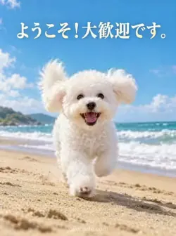 青空と白い波を背に砂浜を駆けるビションフリーゼと「ようこそ！大歓迎です。」の文字。