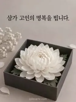 장밋빛 회색 배경 위 얕은 짙은 회색 사각 상자에 흰 종이 국화가 놓여 있고 위쪽에 짧은 명복 기원 문구가 적힌 카드