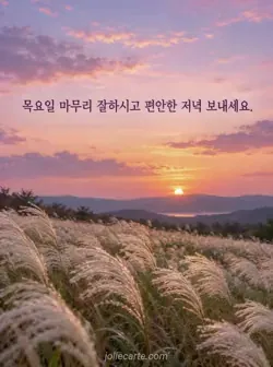 연보라색과 분홍색 노을 아래 은빛 억새가 펼쳐진 조용한 들판