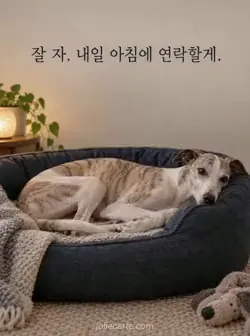 남색 타원형 침대에 긴 다리를 접고 머리를 기댄 휘핏과 내일 아침 연락을 약속하는 밤 인사 카드