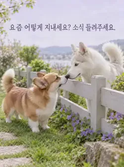 작은 보라색 꽃이 핀 낮은 울타리 사이로 코를 맞대는 코기와 흰 허스키