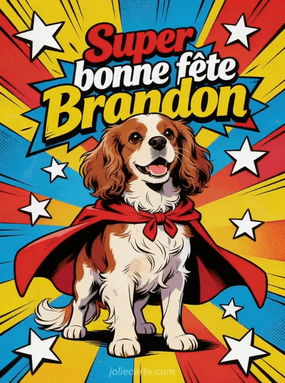 Bonne fête Brandon - Bonne fete brandon drole