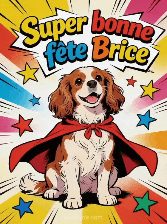 Bonne fête Brice - Bonne fete brice drole