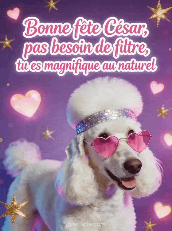 Bonne fête Cesar - Cesar bonne fete humour