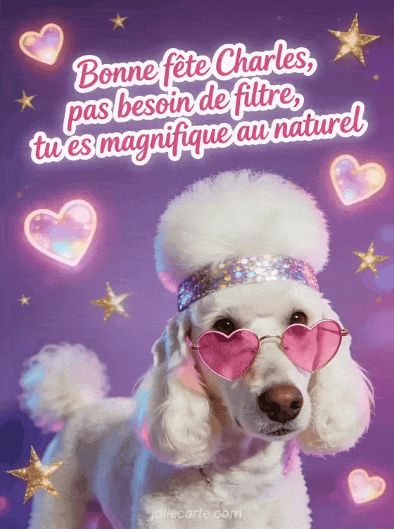 Bonne fête Charles - Charles bonne fete humour