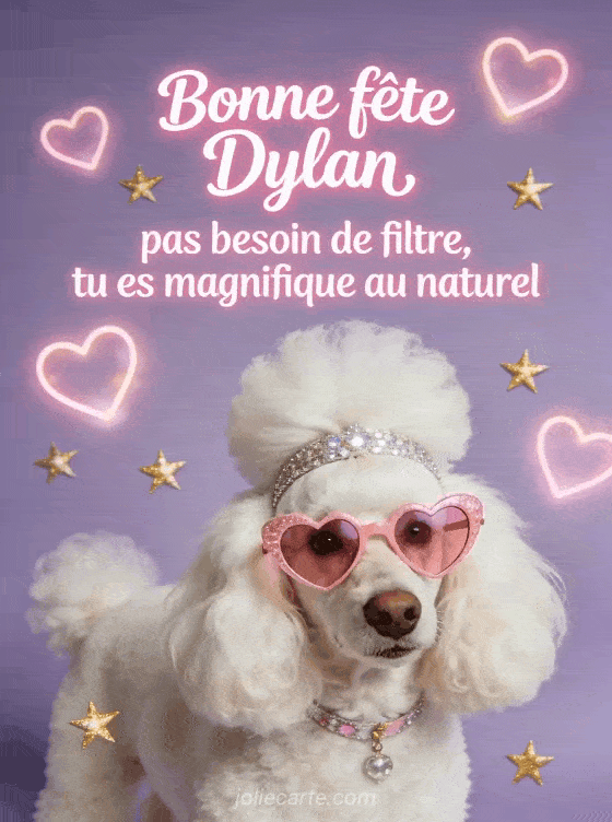 Bonne fête Dylan - Dylan bonne fete humour