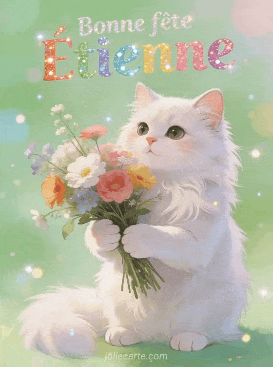 Bonne fête Etienne - Etienne gif bonne fete