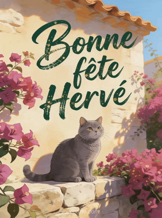 Bonne fête Hervé - Bonne fete herve chat