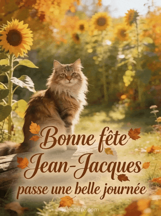 Bonne fête Jean-Jacques - Bonne fete jean jacques chat
