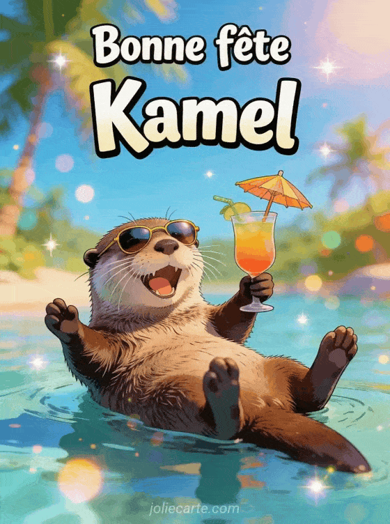 Bonne fête Kamel - Bonne fete kamel humour