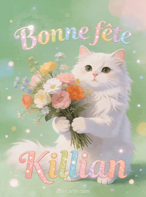 Bonne fête Killian - Bonne fete killian chat