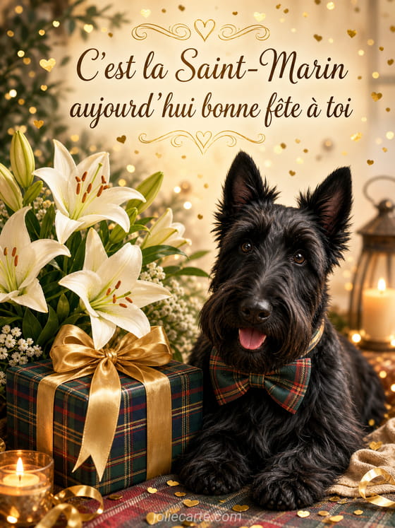 Carte bonne fête Marin