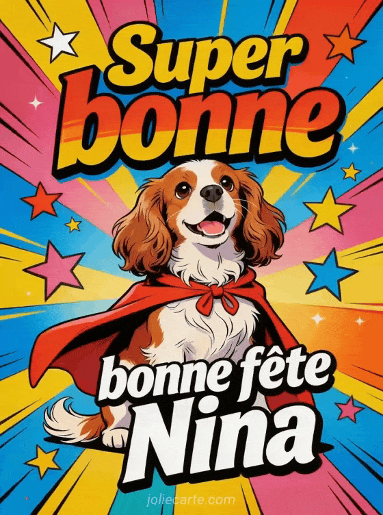 Bonne fête Nina - Bonne fete nina drole