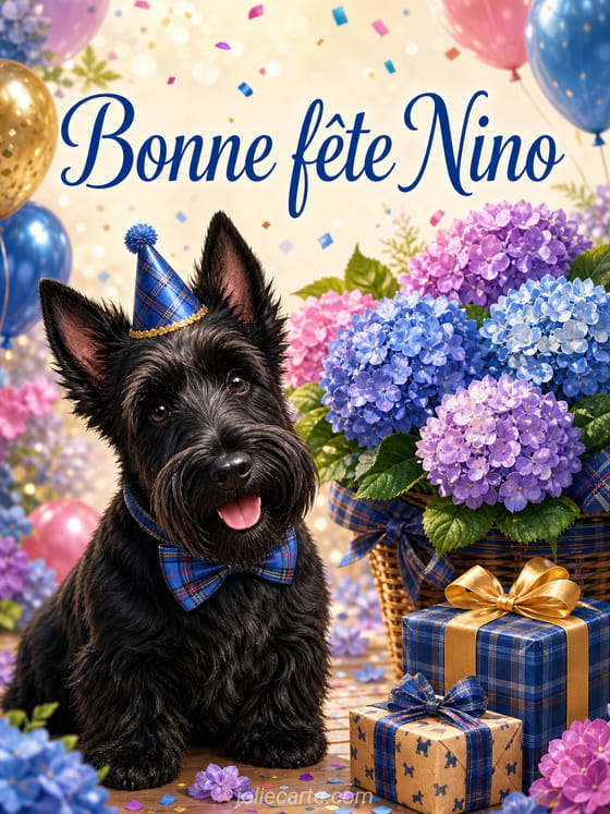 Carte bonne fĂȘte Nino