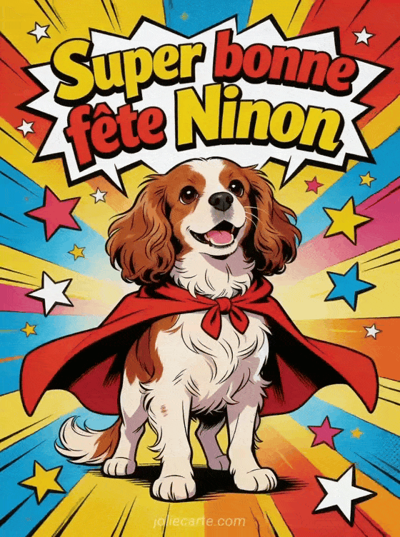 Bonne fête Ninon - Bonne fete ninon drole
