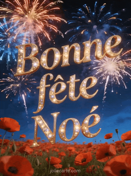Bonne fête Noé - Noe bonne fete image