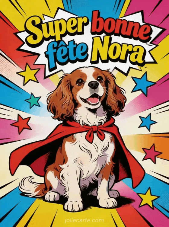 Bonne fête Nora - Bonne fete nora drole