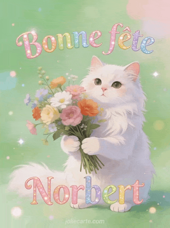 Bonne fête Norbert - Bonne fete norbert chat