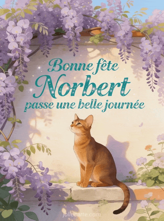 Bonne fête Norbert - Bonne fete norbert chat