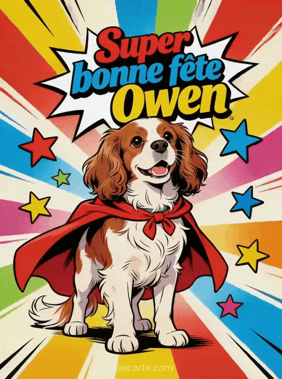 Bonne fête Owen - Bonne fete owen drole