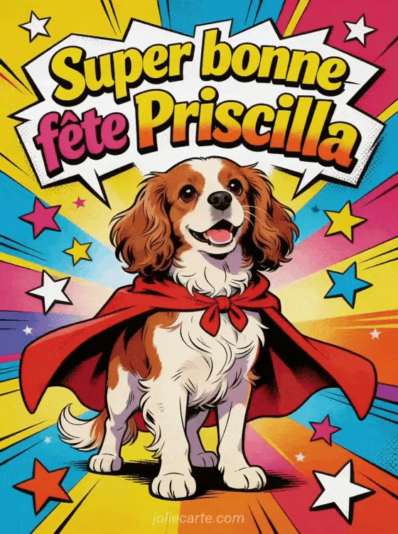 Bonne fête Priscilla - Bonne fete priscilla drole