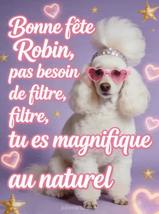 Bonne fête Robin - Robin bonne fete humour