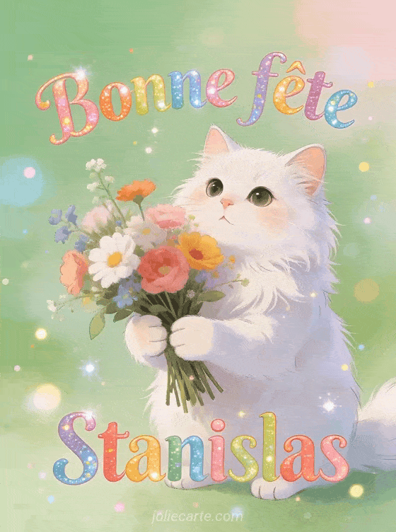 Bonne fête Stanislas - Bonne fete stanislas chat