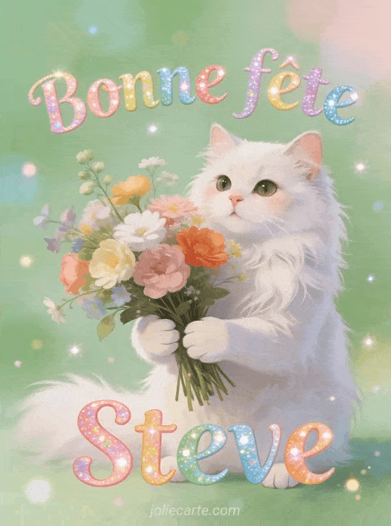 Bonne fête Steve - Bonne fete steve chat