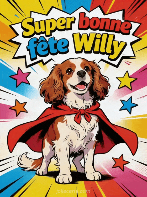 Bonne fête Willy - Bonne fete willy drole