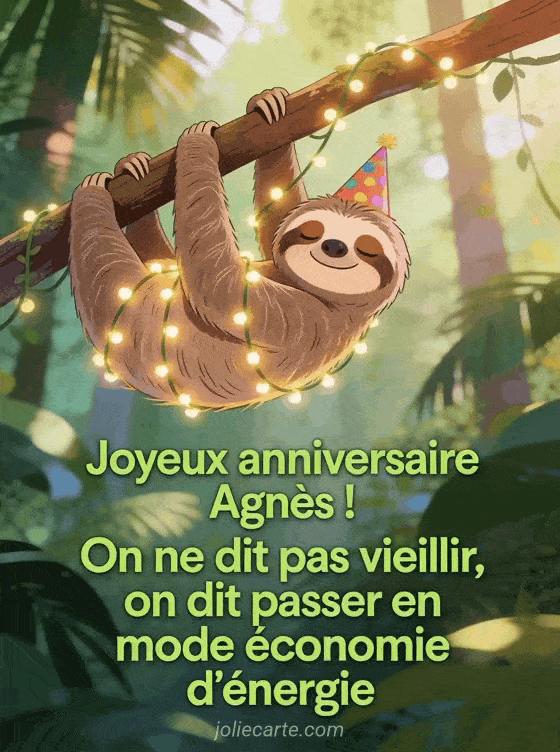 Joyeux anniversaire Agnes - Agnes humour