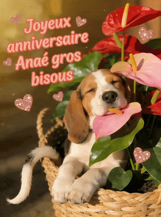Joyeux anniversaire Anaé - Joyeux anniversaire anae gros bisous