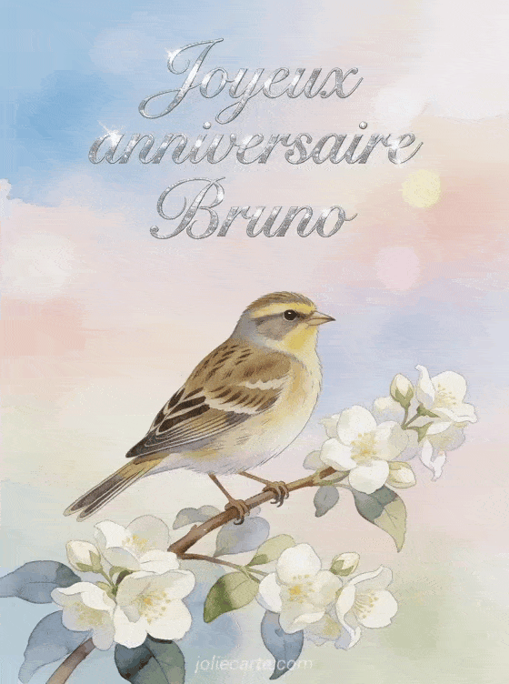 Joyeux anniversaire Bruno - Carte joyeux anniversaire bruno