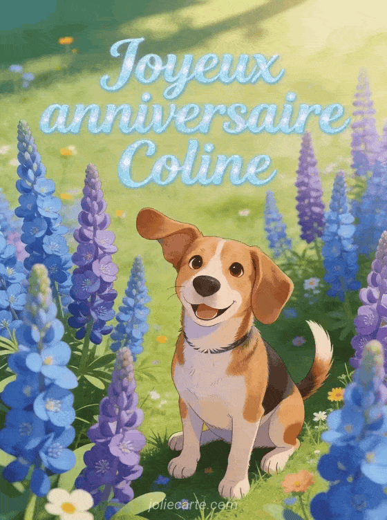 Joyeux anniversaire Coline - Joyeux anniversaire coline image