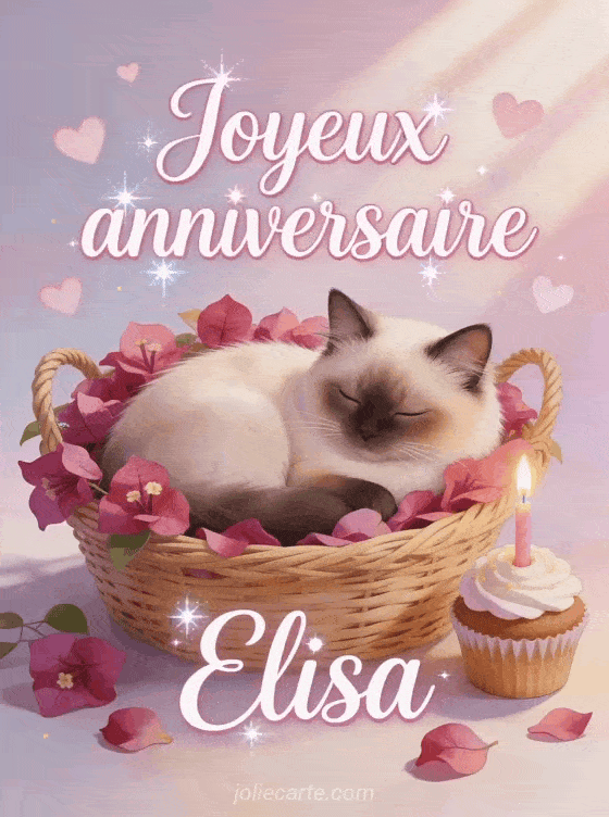 Joyeux anniversaire Elisa - Joyeux anniversaire elisa chat