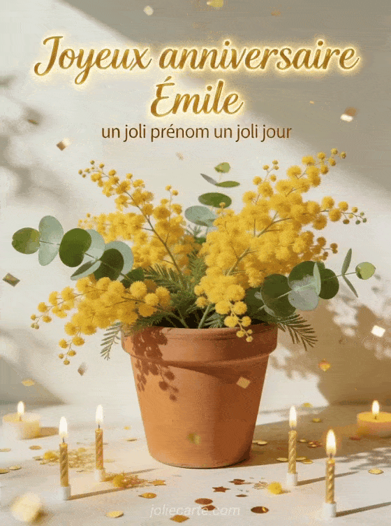 Joyeux anniversaire Émile - Joyeux anniversaire emile fleurs